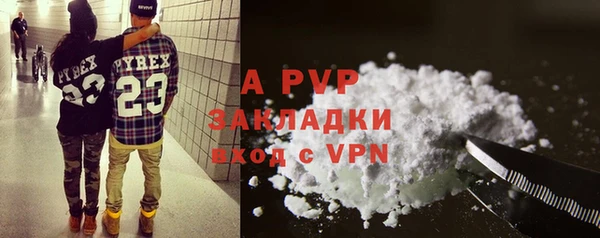 твердый Арсеньев