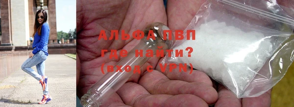 твердый Арсеньев