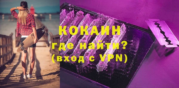 твердый Арсеньев