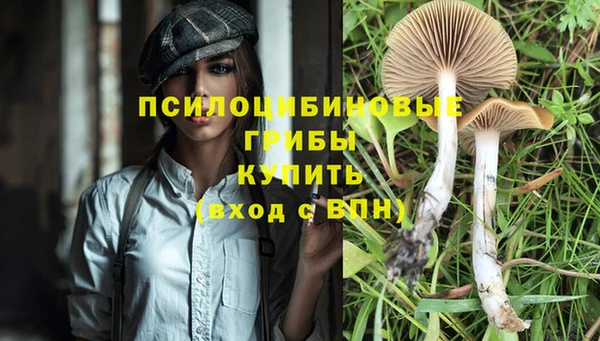 твердый Арсеньев