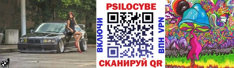 магазин продажи наркотиков  Хилок  Галлюциногенные грибы Psilocybine cubensis 